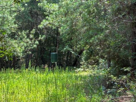 0 County Line Road Livingston TX 77351