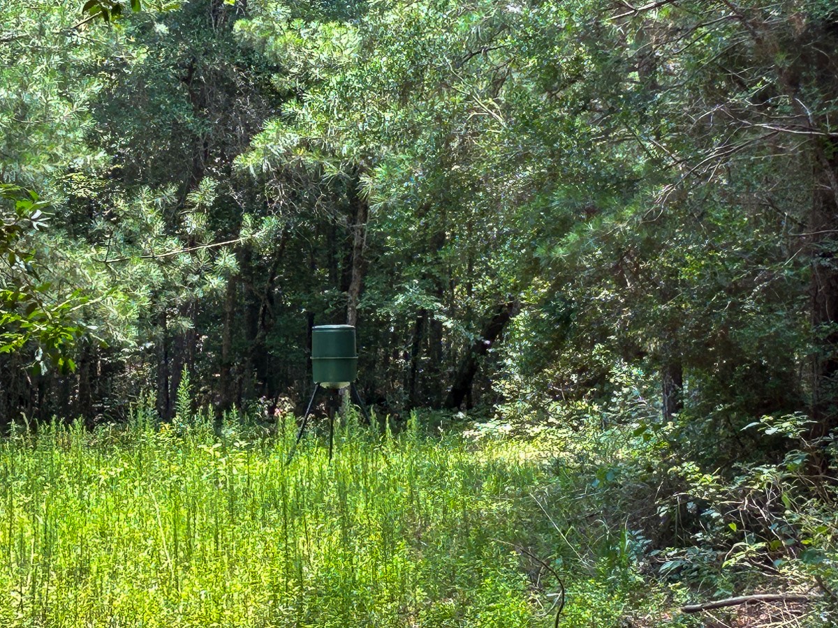 0 County Line Road Livingston TX 77351