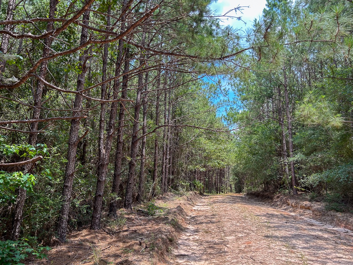 0 County Line Road Livingston TX 77351