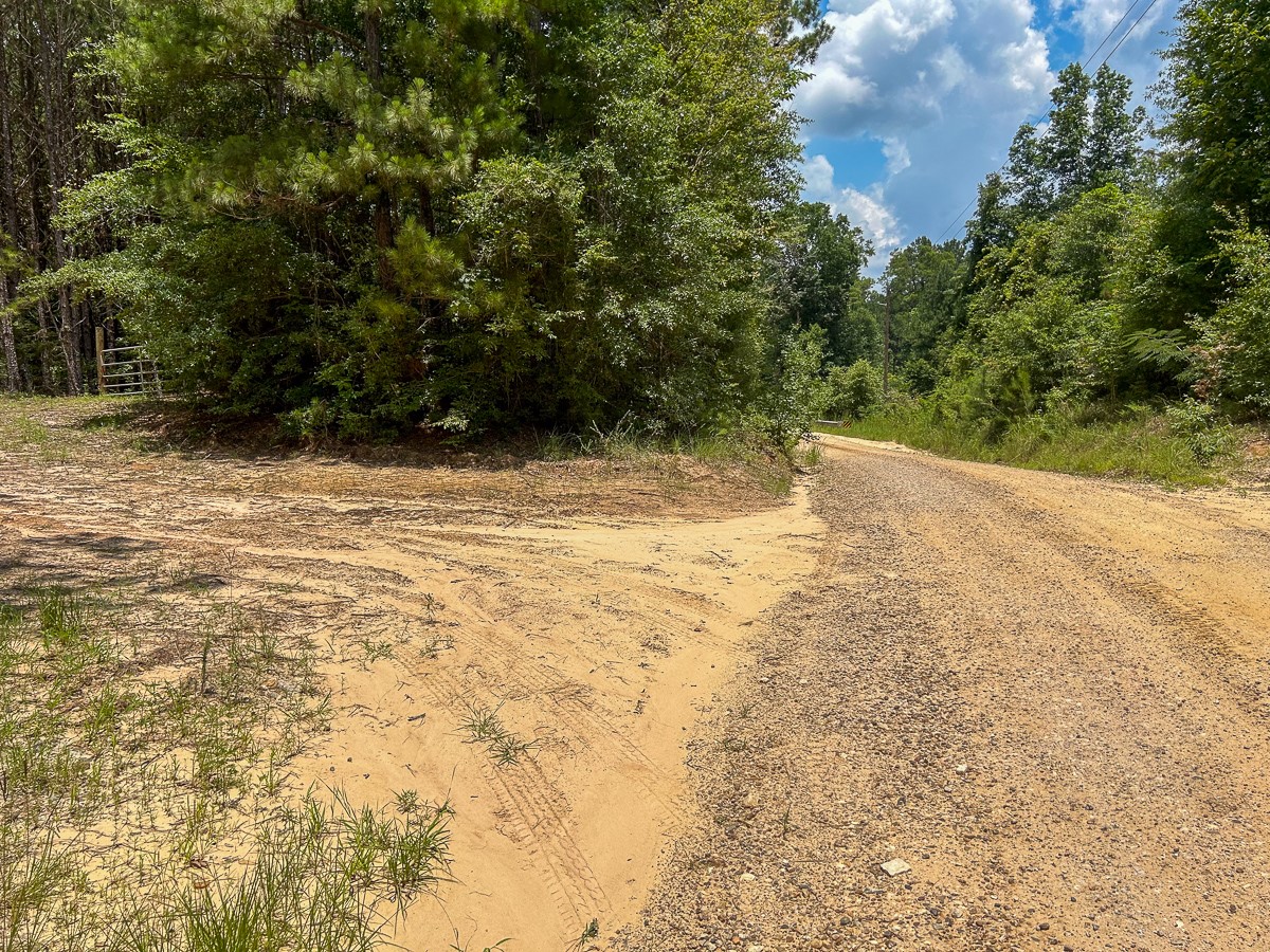 0 County Line Road Livingston TX 77351