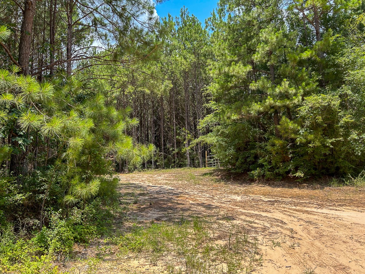 0 County Line Road Livingston TX 77351