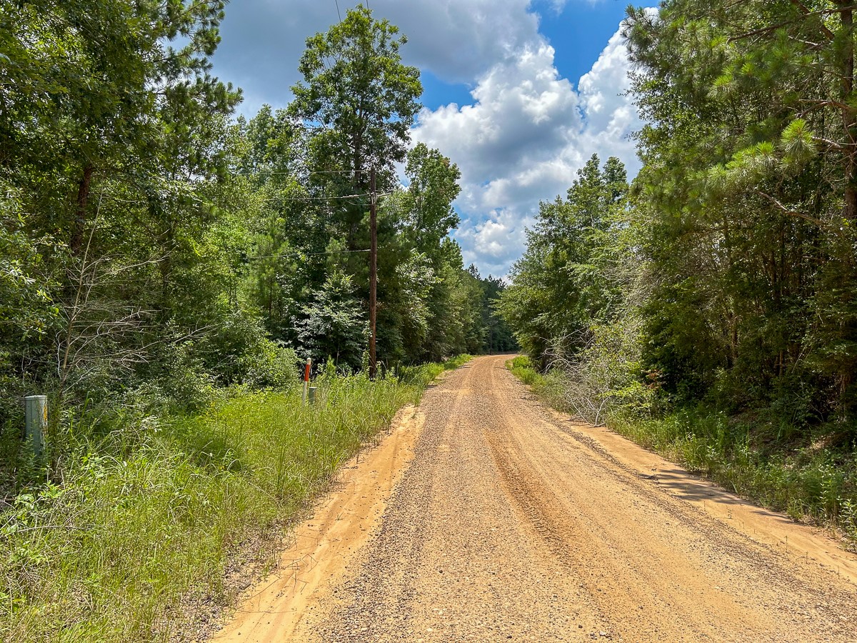 0 County Line Road Livingston TX 77351