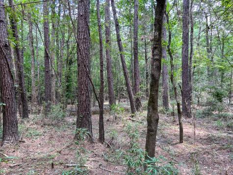 0 County Line Road Livingston TX 77351
