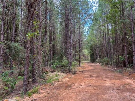 0 County Line Road Livingston TX 77351
