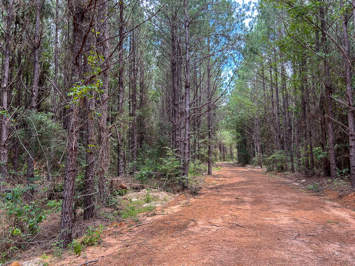 0 County Line Road Livingston TX 77351