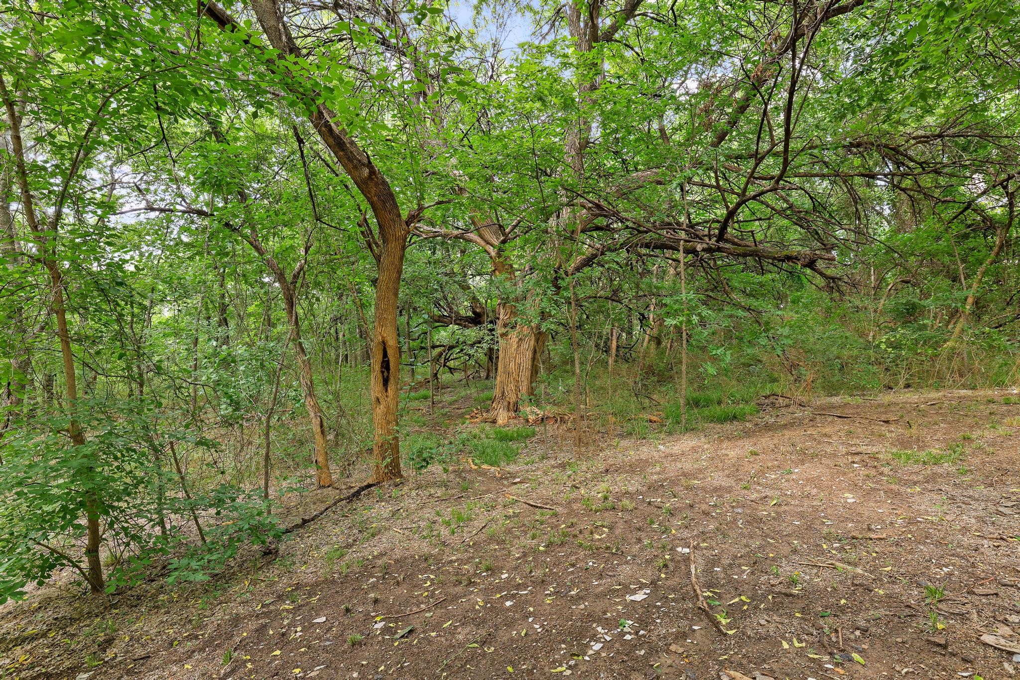 Tbd Roy Ayres Road Bells TX 75414
