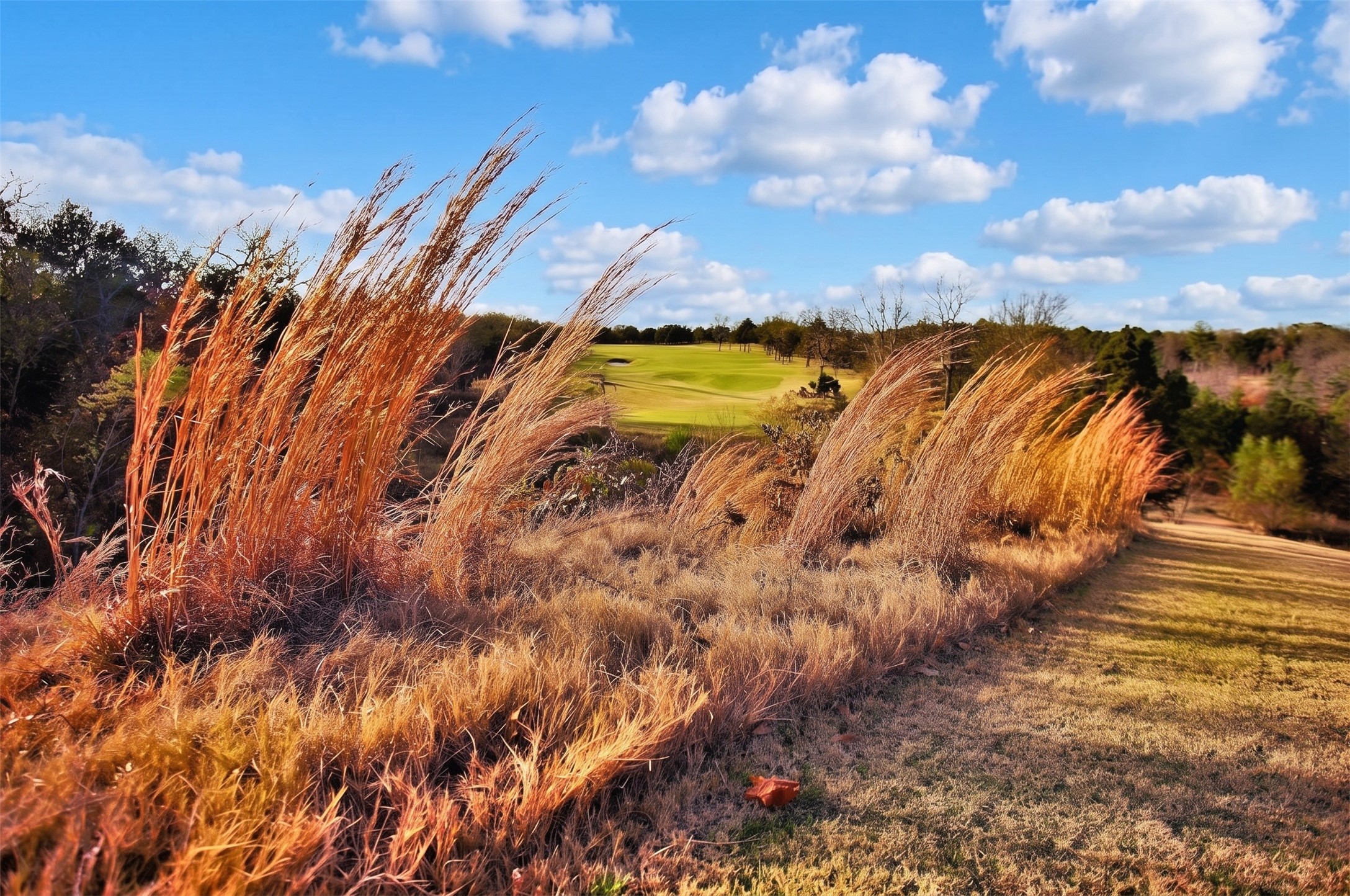 Lot 28b Windrose Loop Gordonville TX 76245