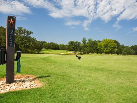 173 Sailfish Point Drive Gordonville TX 76245