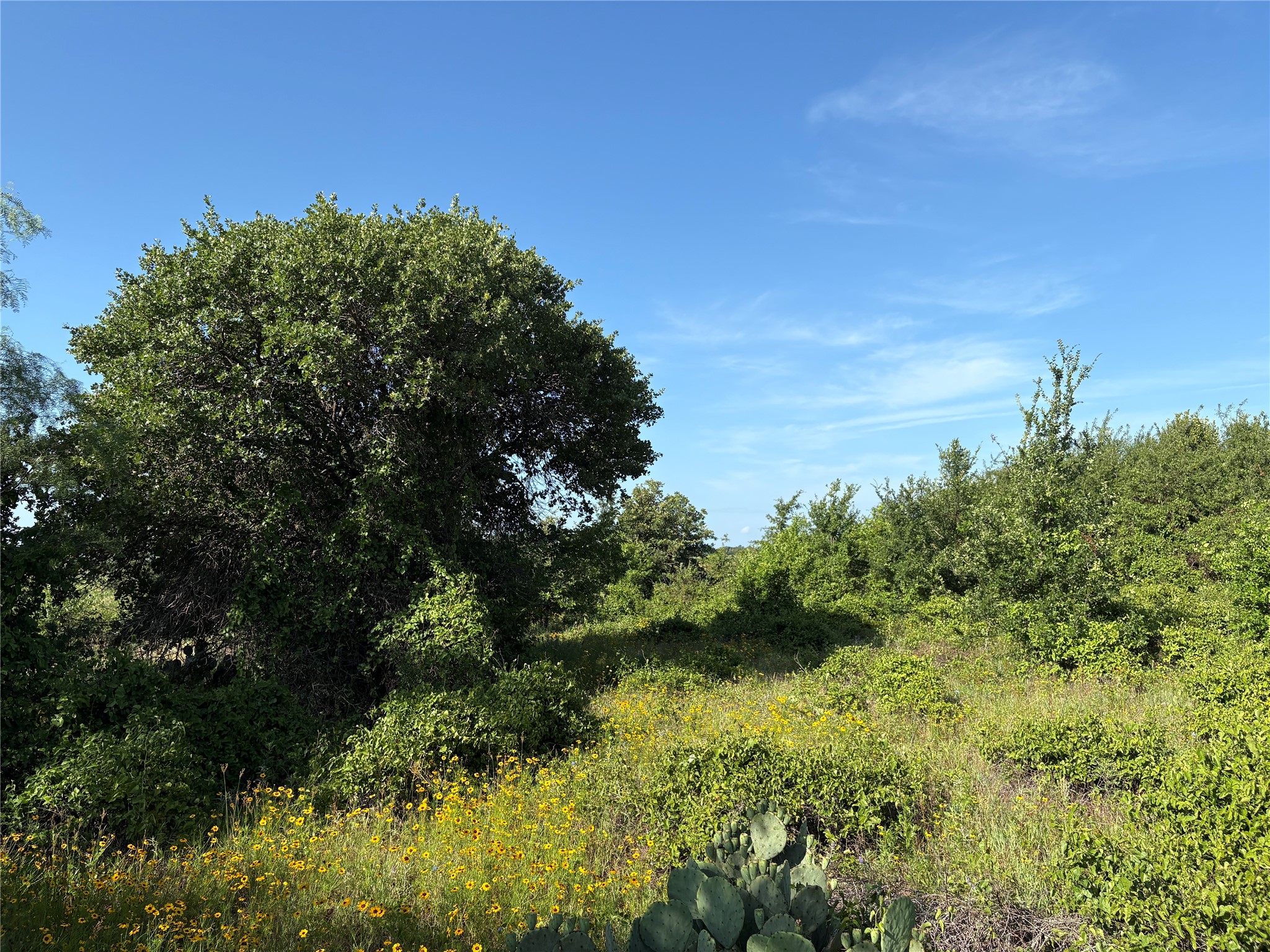 16 Acres Tbd Fm 571 Gorman TX 76454