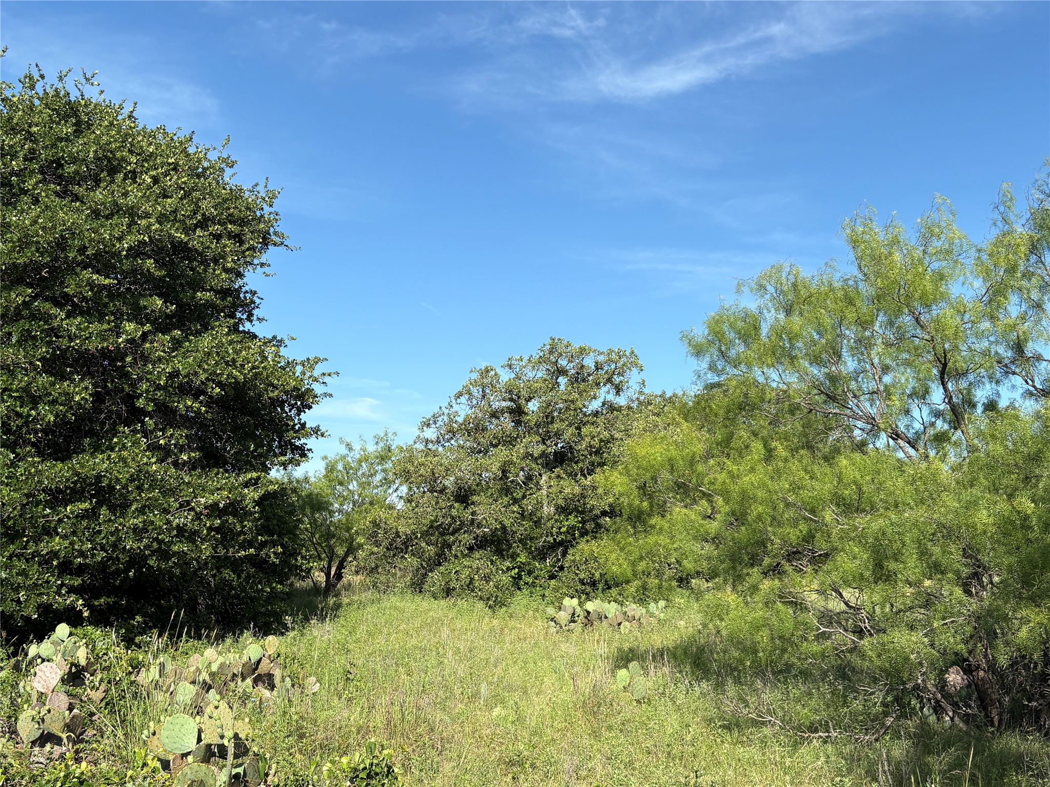 16 Acres Tbd Fm 571 Gorman TX 76454
