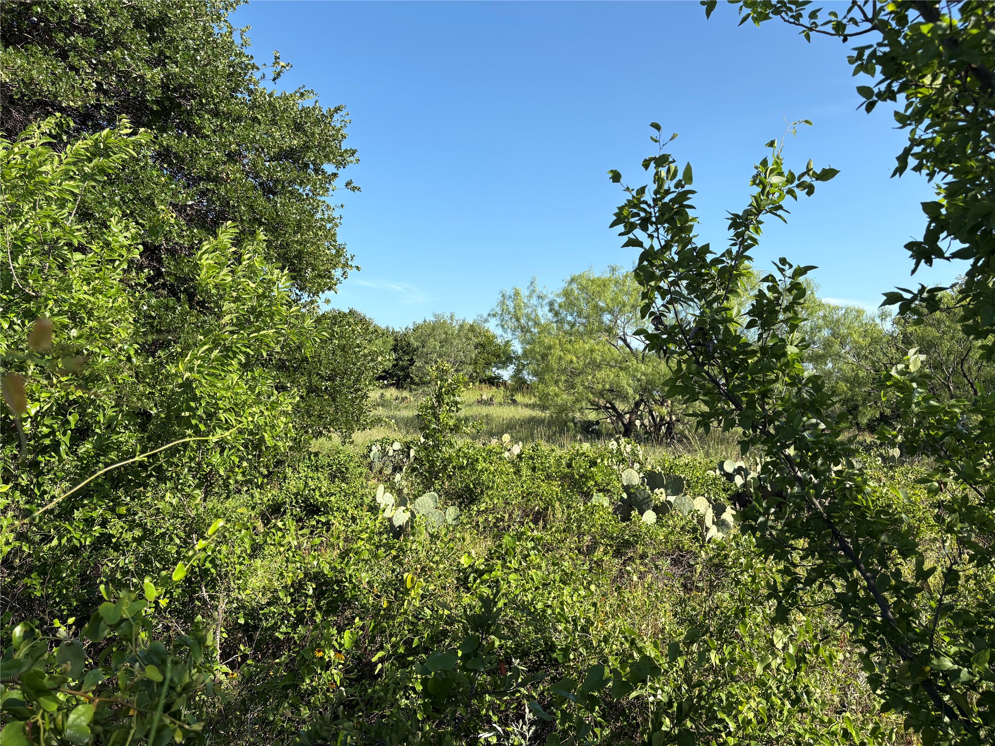 16 Acres Tbd Fm 571 Gorman TX 76454
