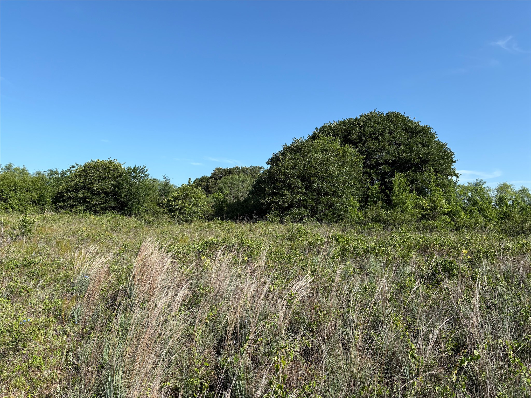 16 Acres Tbd Fm 571 Gorman TX 76454