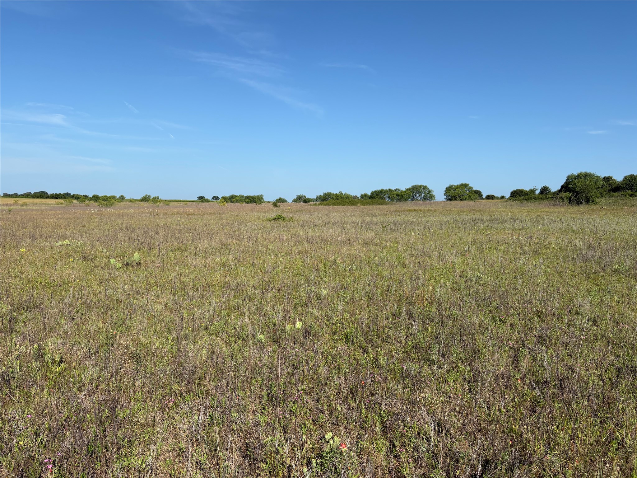 16 Acres Tbd Fm 571 Gorman TX 76454