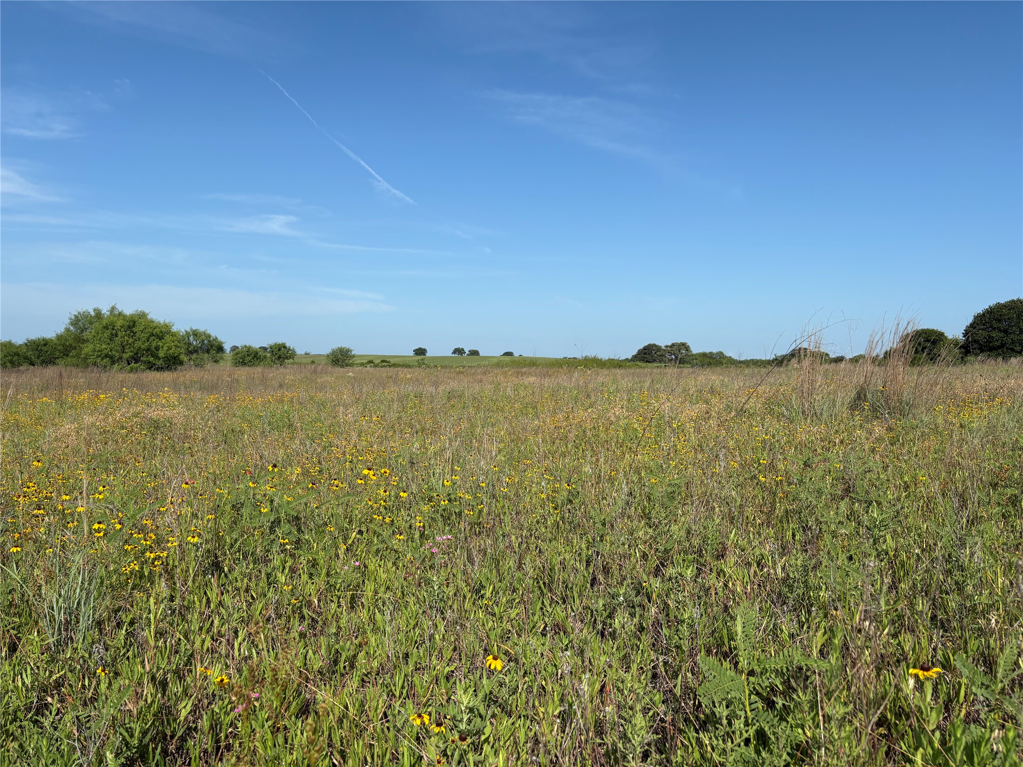 16 Acres Tbd Fm 571 Gorman TX 76454