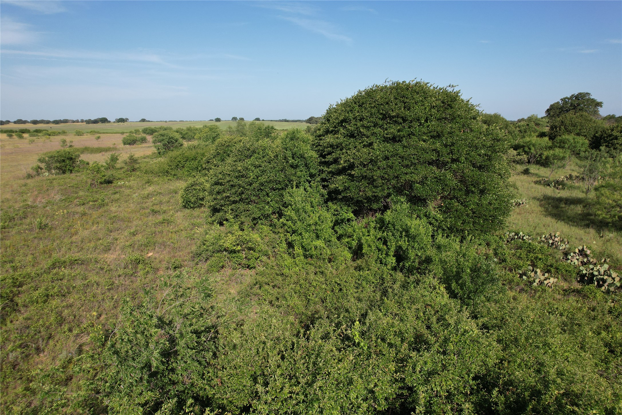 16 Acres Tbd Fm 571 Gorman TX 76454
