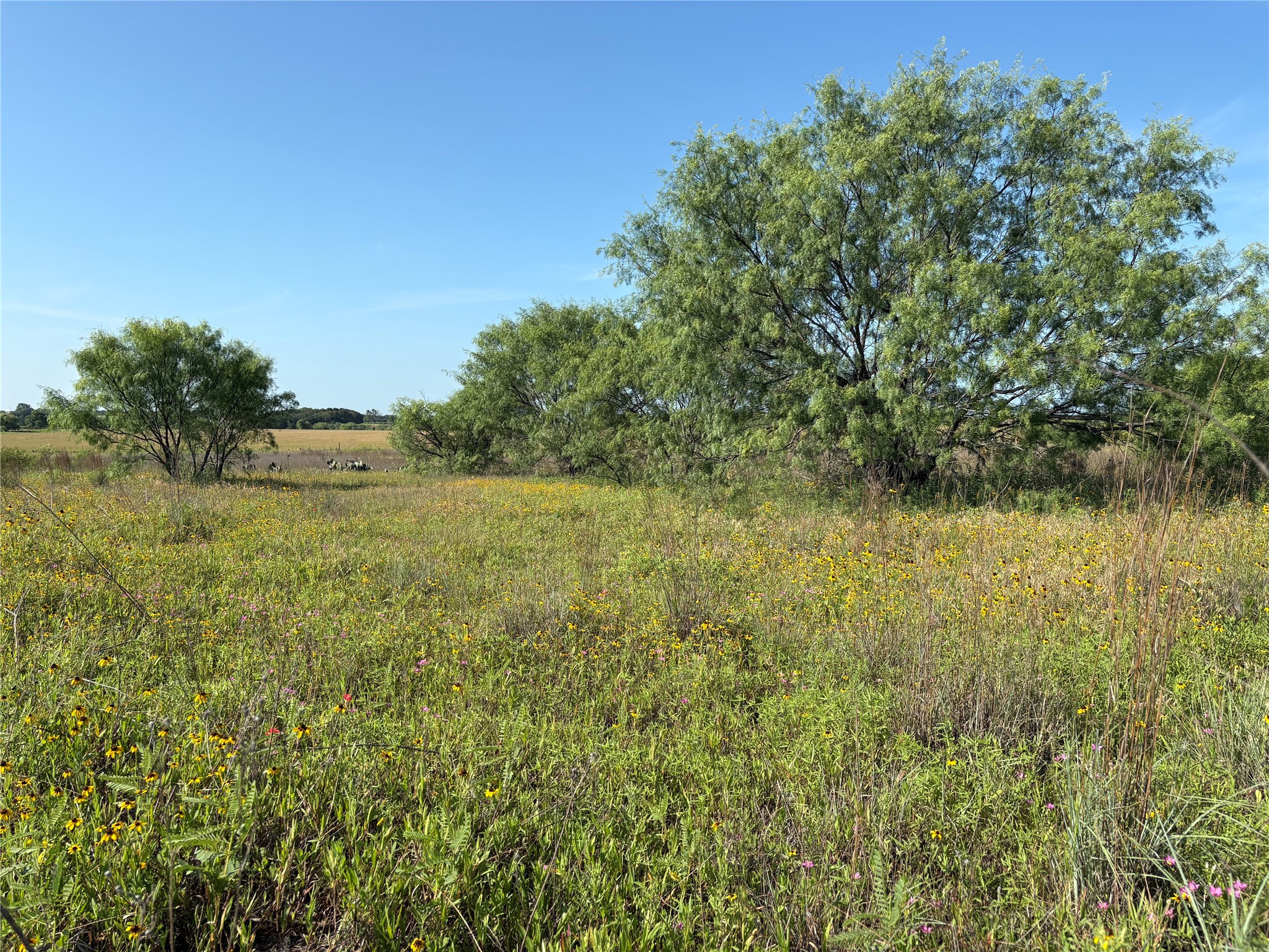 16 Acres Tbd Fm 571 Gorman TX 76454