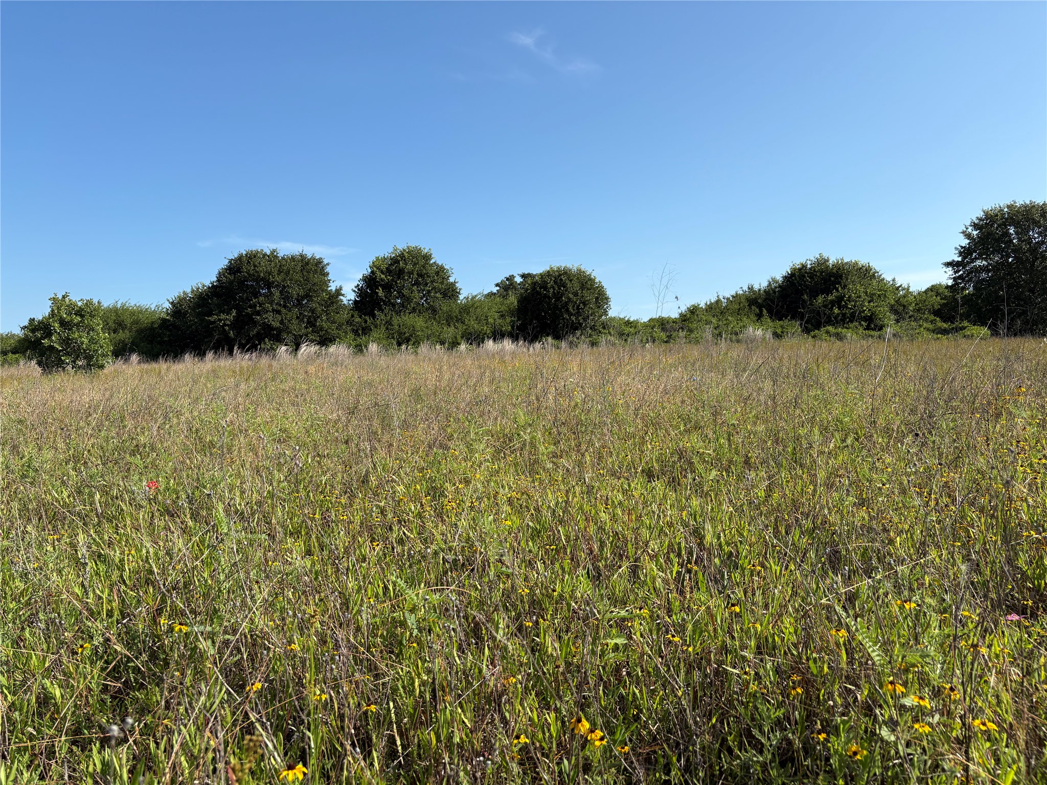 16 Acres Tbd Fm 571 Gorman TX 76454