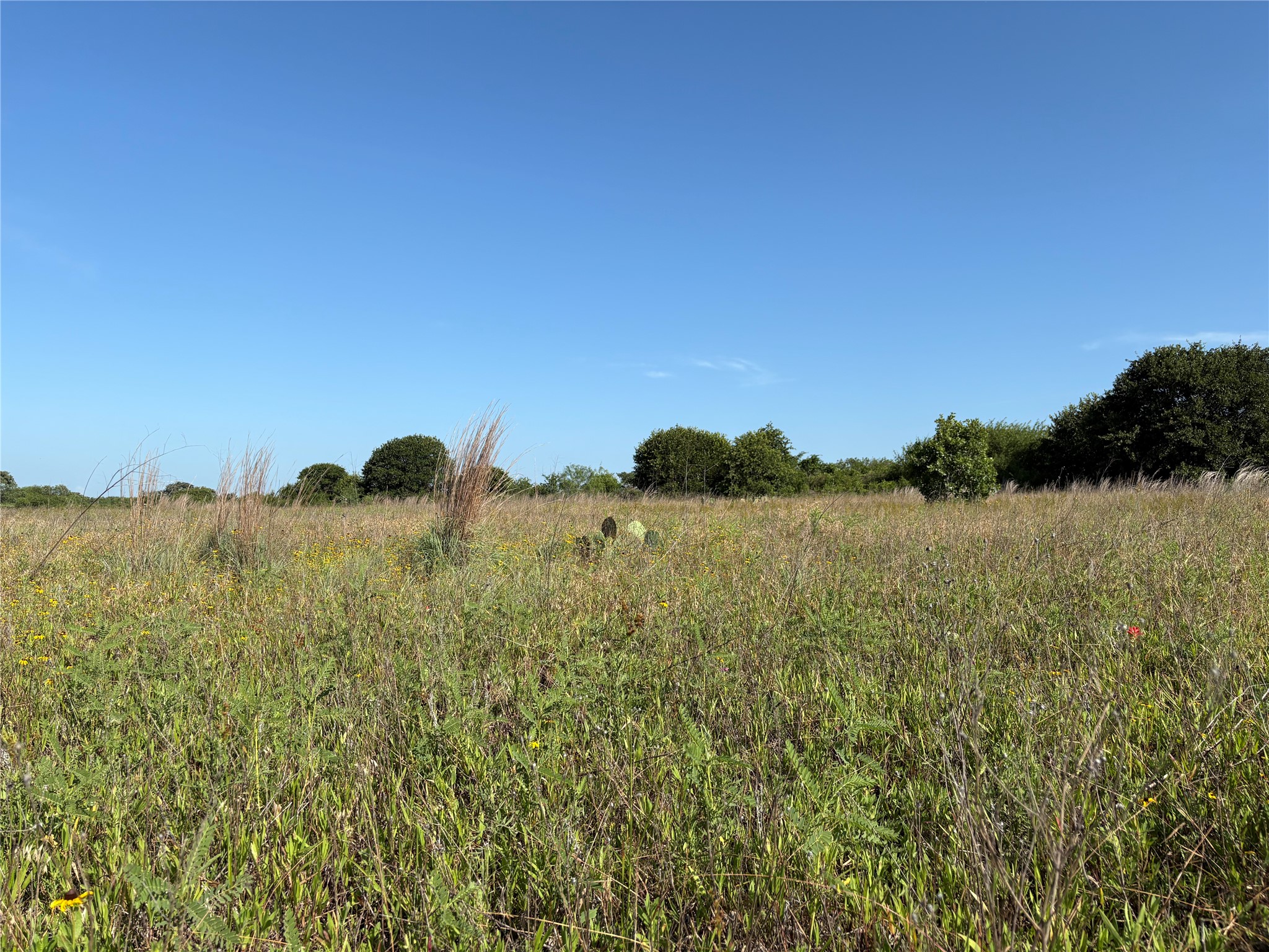 16 Acres Tbd Fm 571 Gorman TX 76454