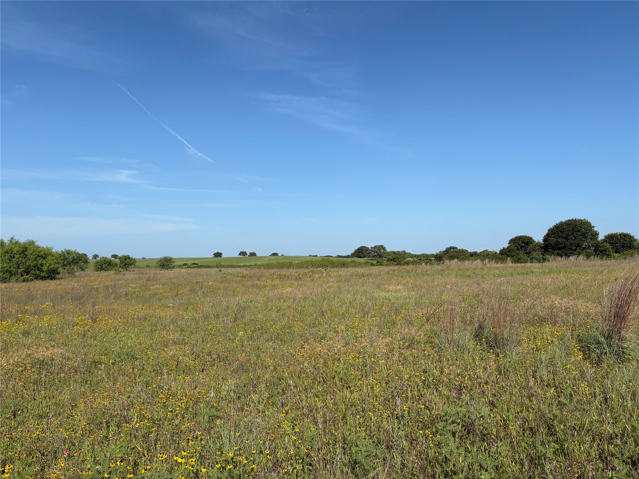 16 Acres Tbd Fm 571 Gorman TX 76454