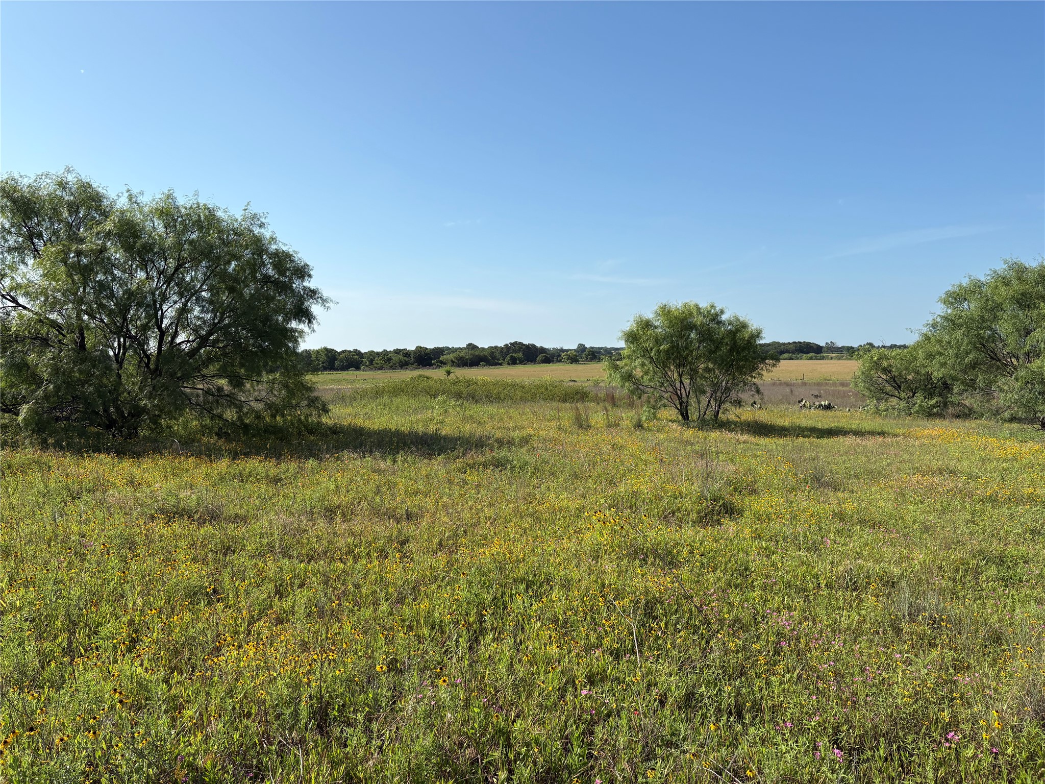 16 Acres Tbd Fm 571 Gorman TX 76454