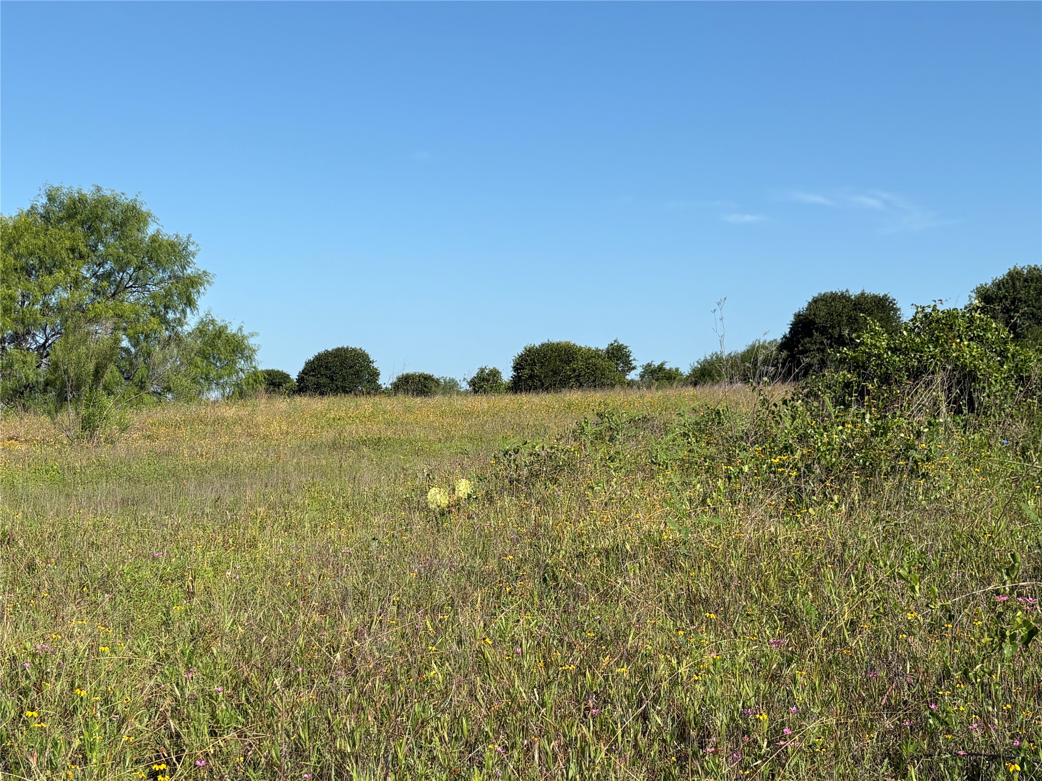 16 Acres Tbd Fm 571 Gorman TX 76454