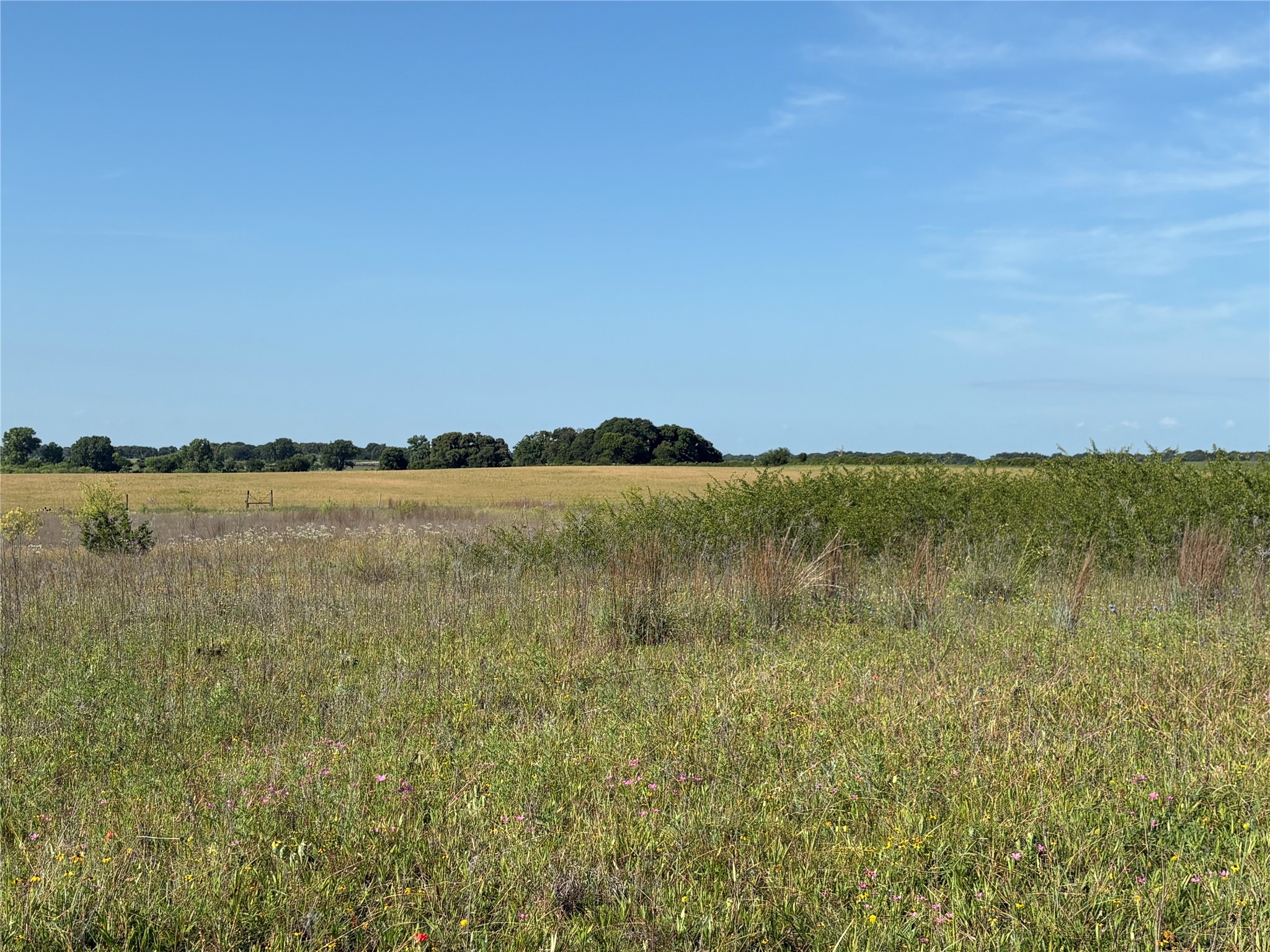 16 Acres Tbd Fm 571 Gorman TX 76454