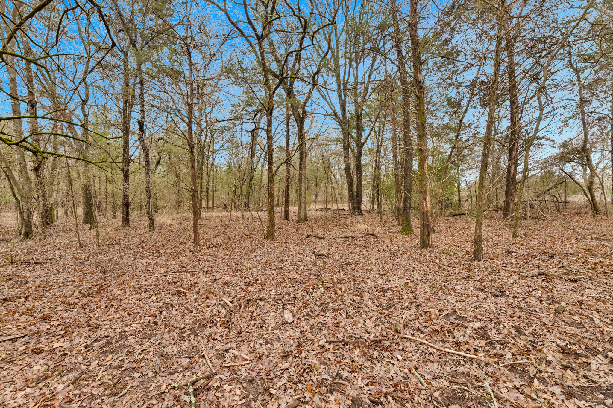 Tbd Co Road 343 Kaufman TX 75142