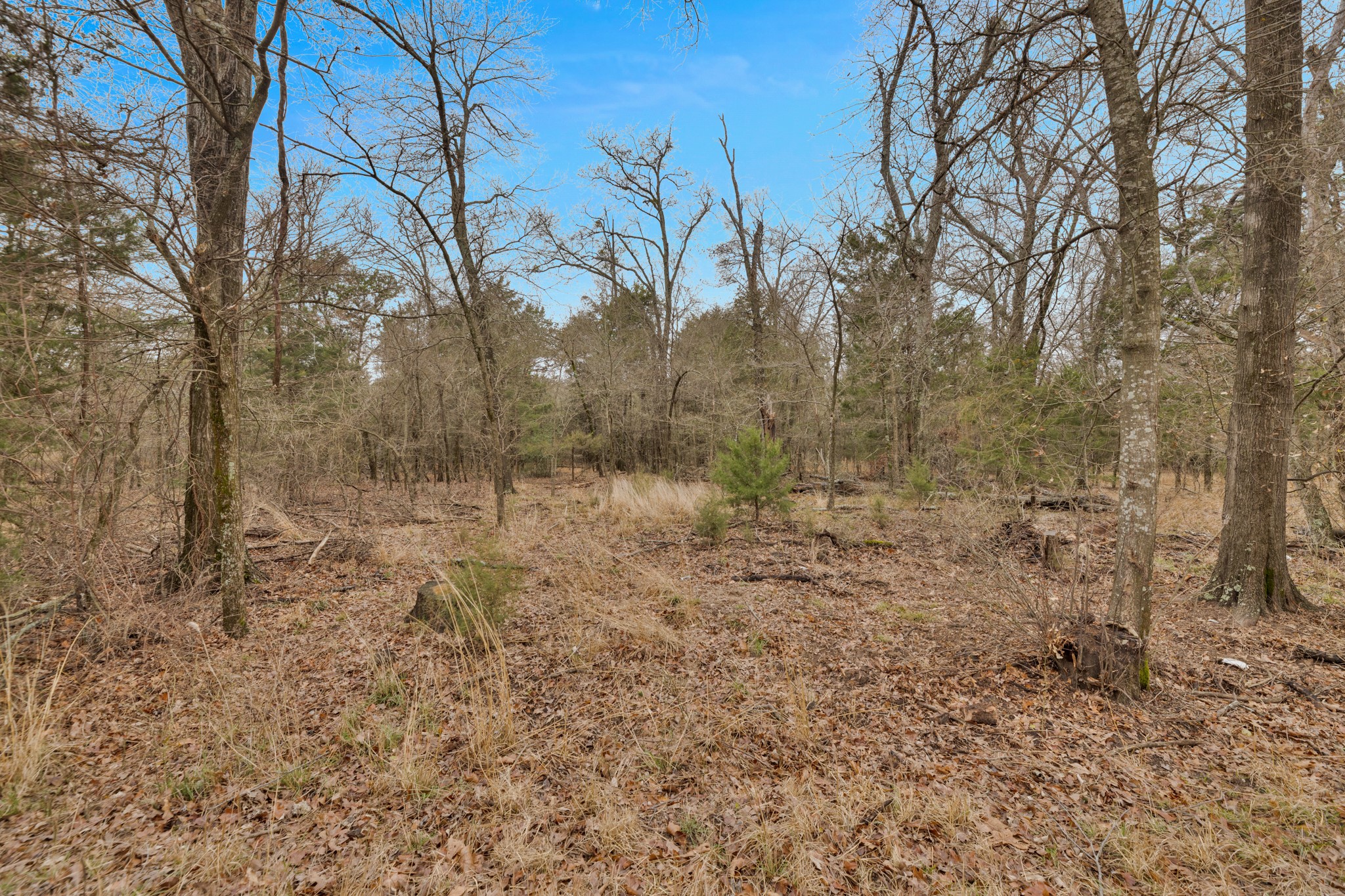 Tbd Co Road 343 Kaufman TX 75142