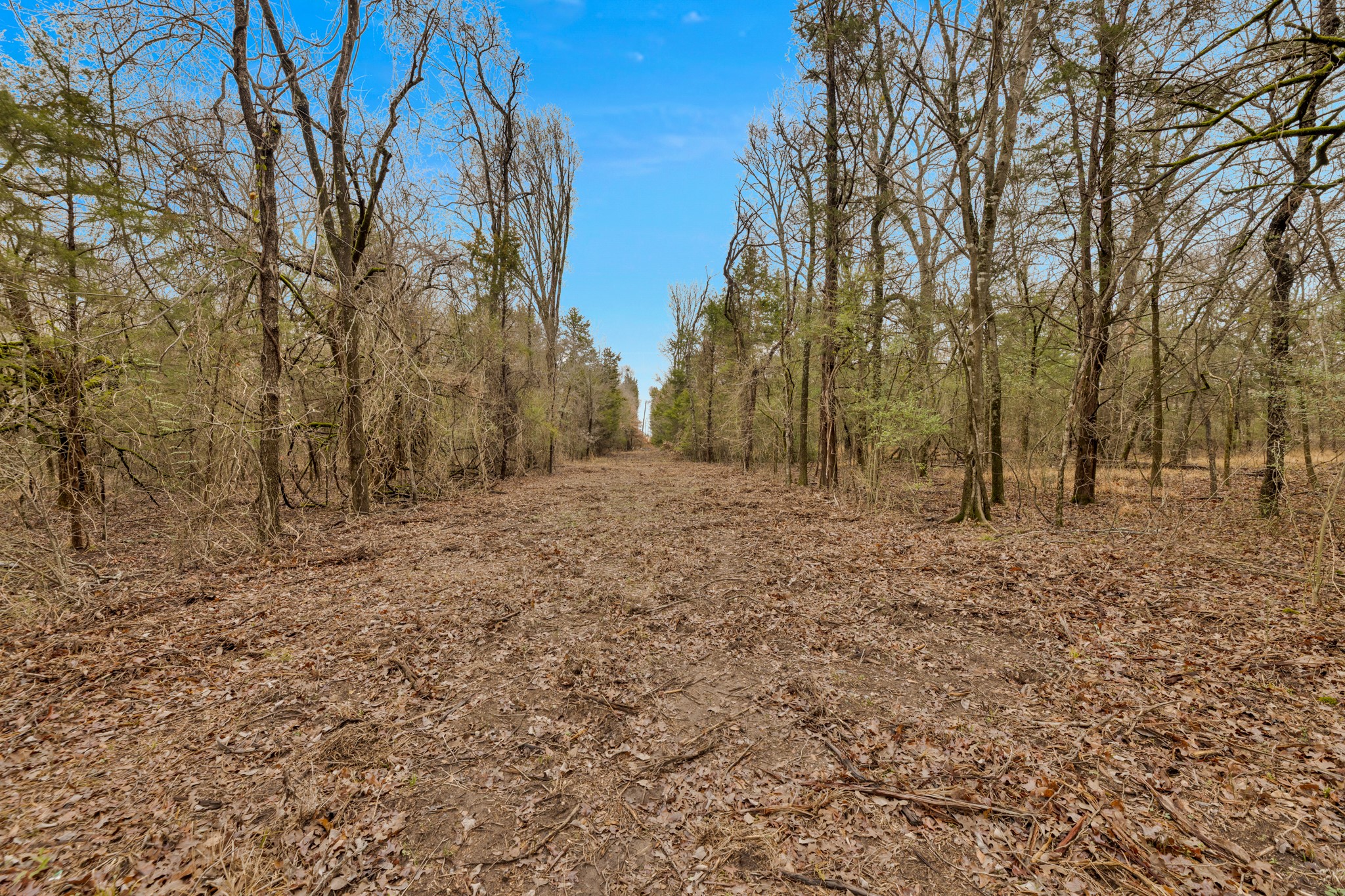 Tbd Co Road 343 Kaufman TX 75142