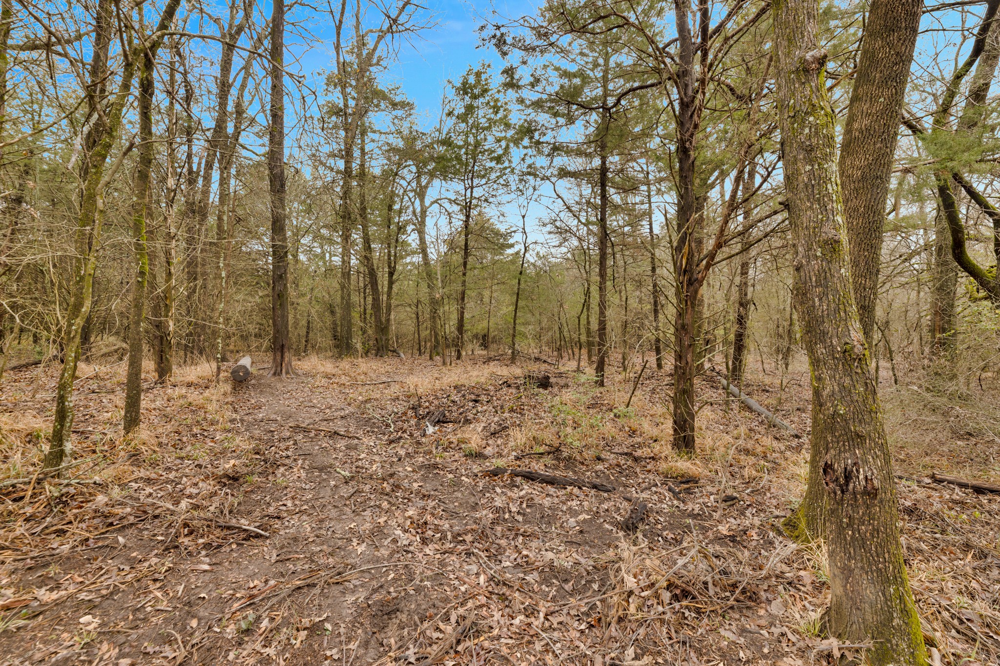 Tbd Co Road 343 Kaufman TX 75142