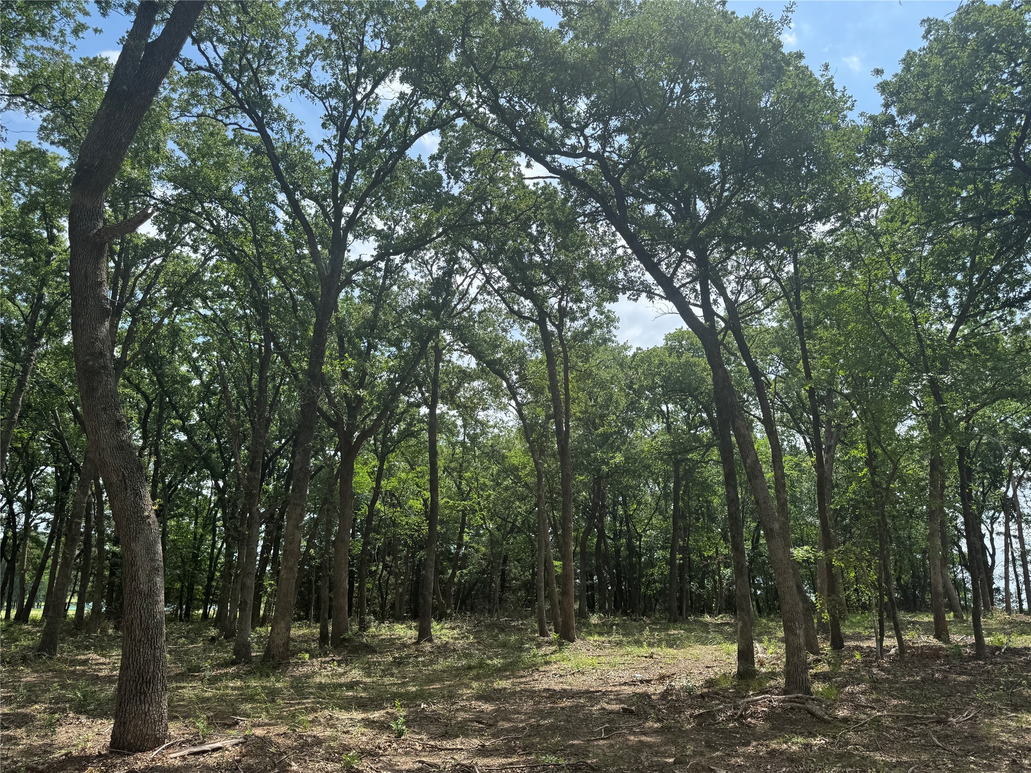 1216 Buck Trail Pottsboro TX 75076