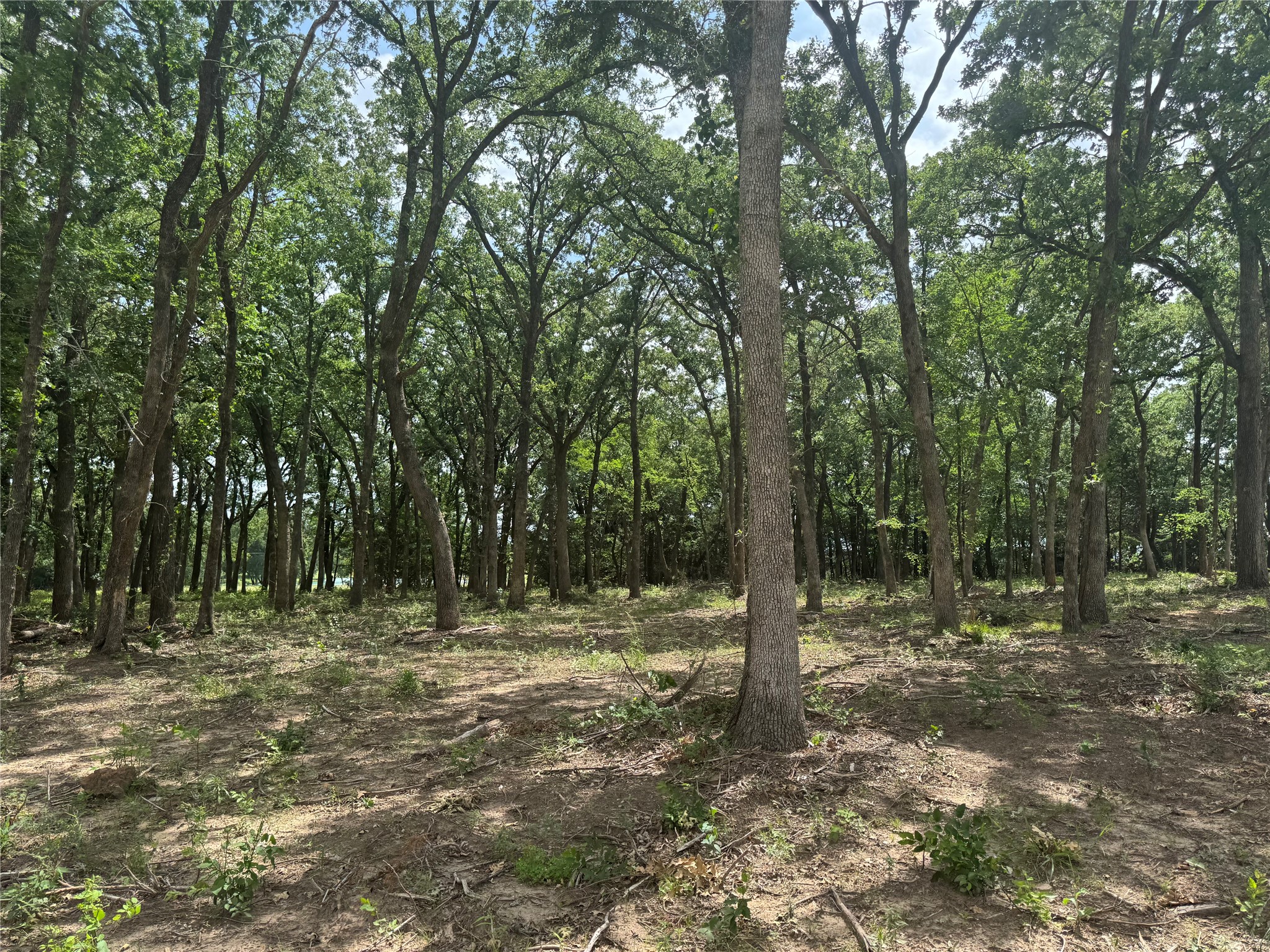 1216 Buck Trail Pottsboro TX 75076