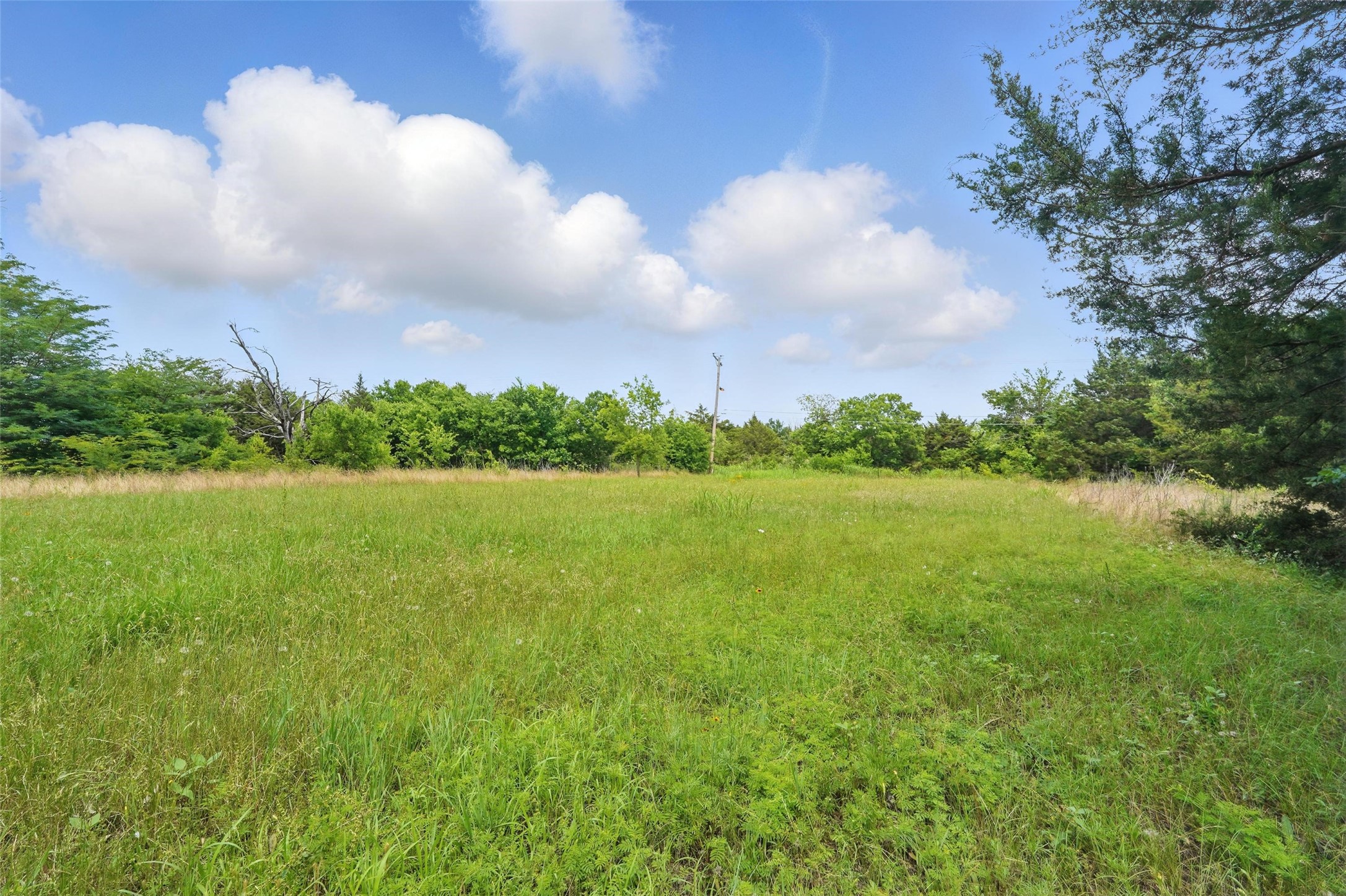 1814 Utilis Street Greenville TX 75401