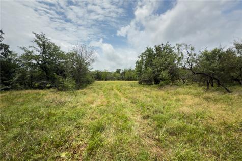Lot 9 County Road 173 Marlin TX 76661