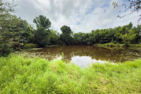 Lot 9 County Road 173 Marlin TX 76661