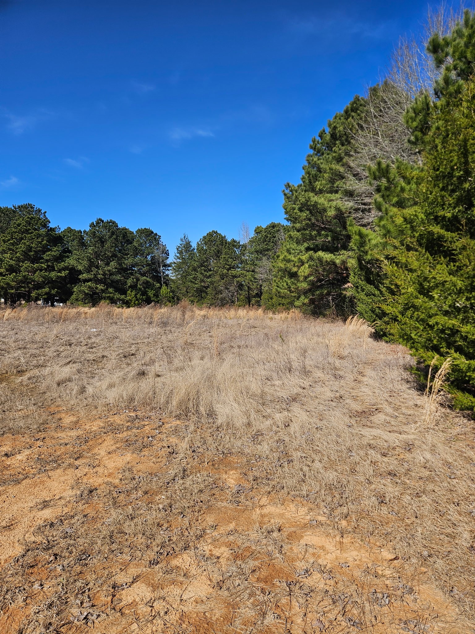 6 Jacklyn Lane Diana TX 75640