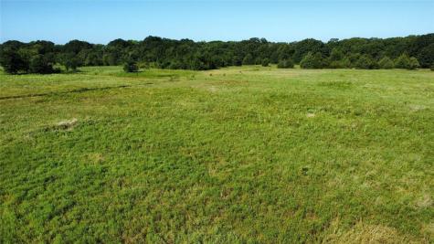 1979 County Road 1135 Ravenna TX 75476