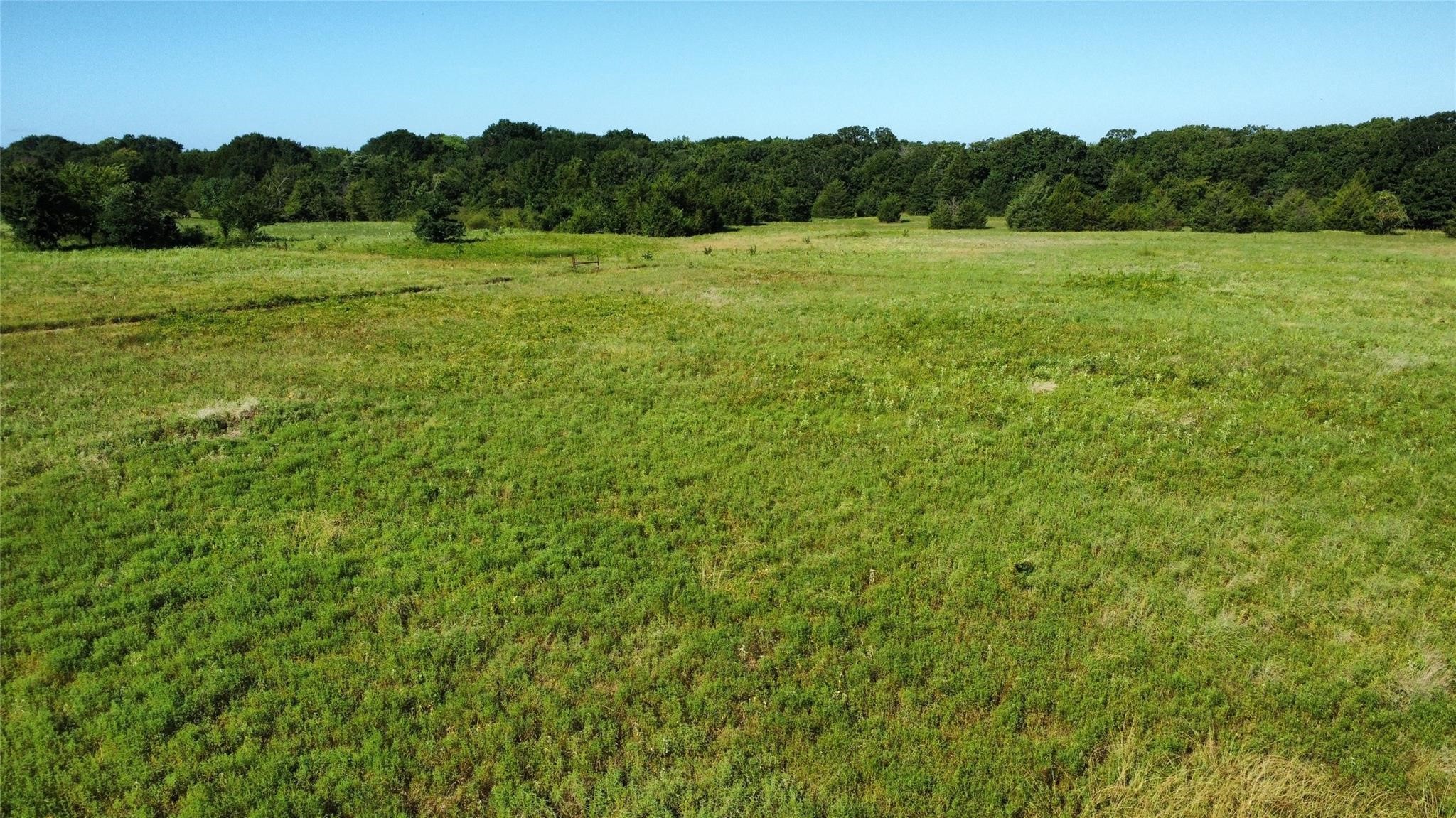 1979 County Road 1135 Ravenna TX 75476