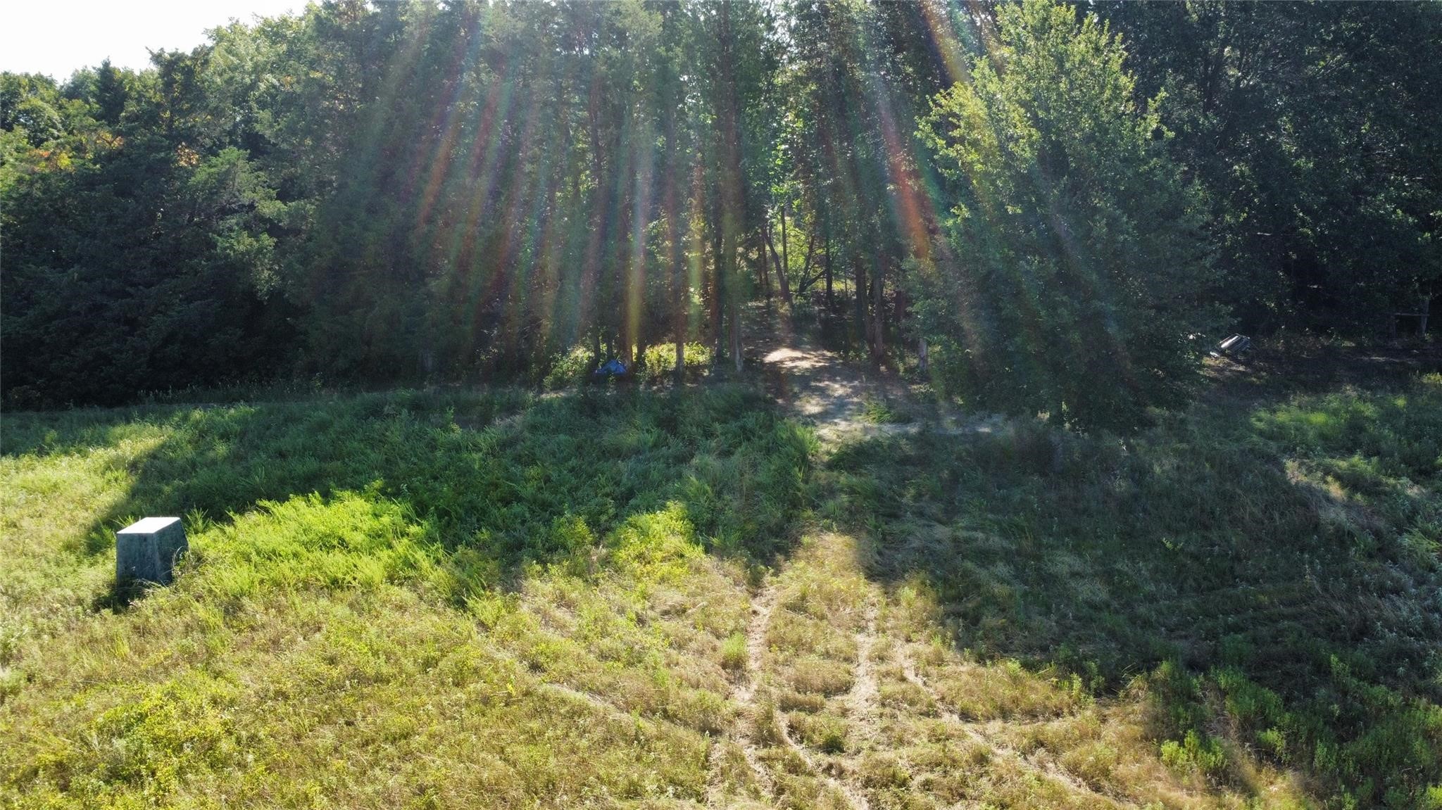 1979 County Road 1135 Ravenna TX 75476