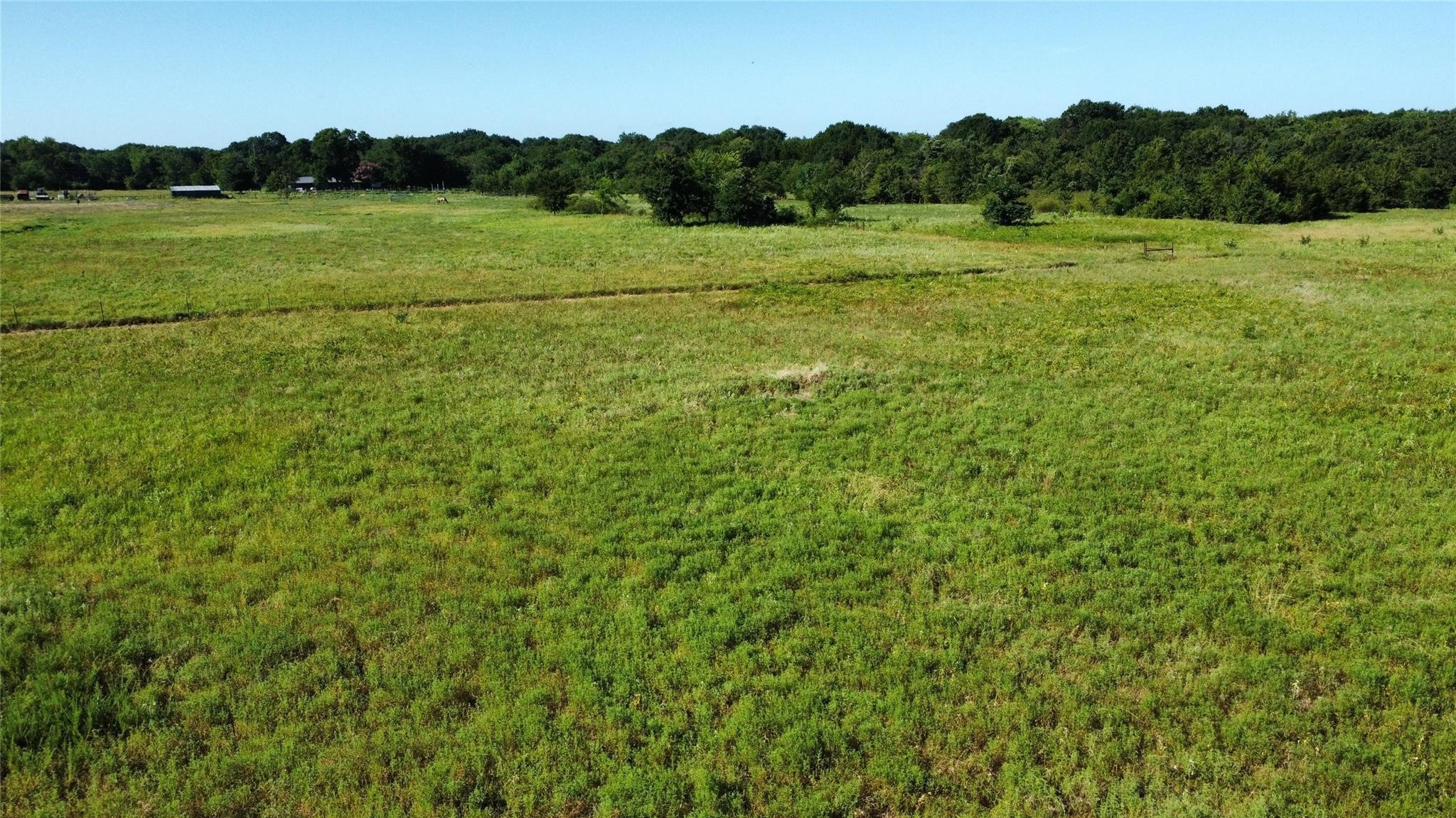 1979 County Road 1135 Ravenna TX 75476