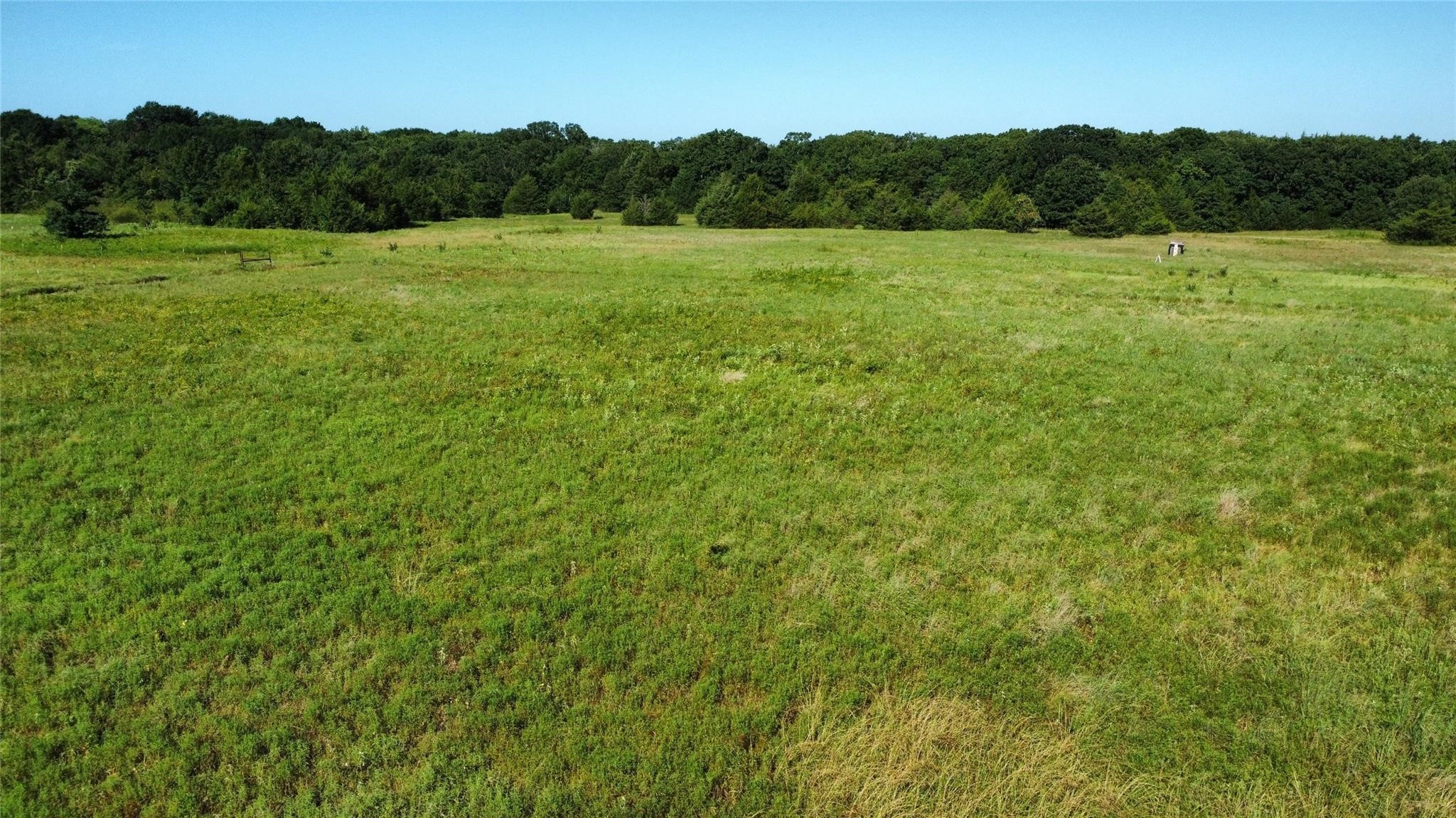 1979 County Road 1135 Ravenna TX 75476