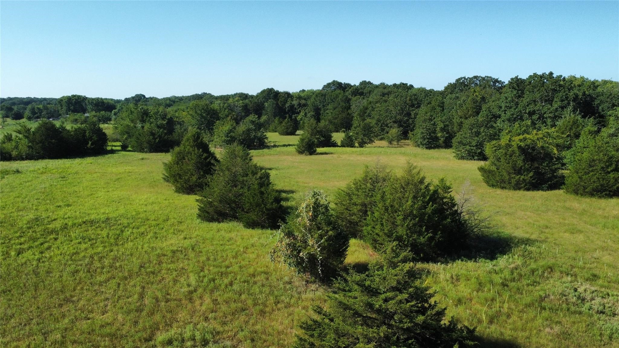 1979 County Road 1135 Ravenna TX 75476