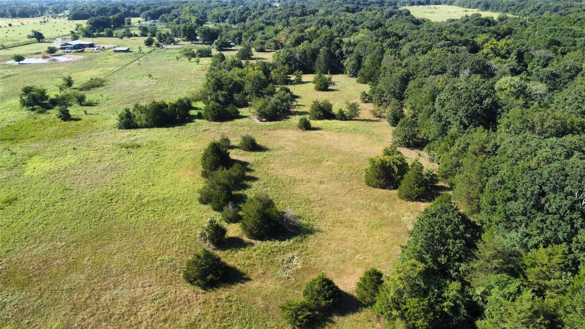 1979 County Road 1135 Ravenna TX 75476
