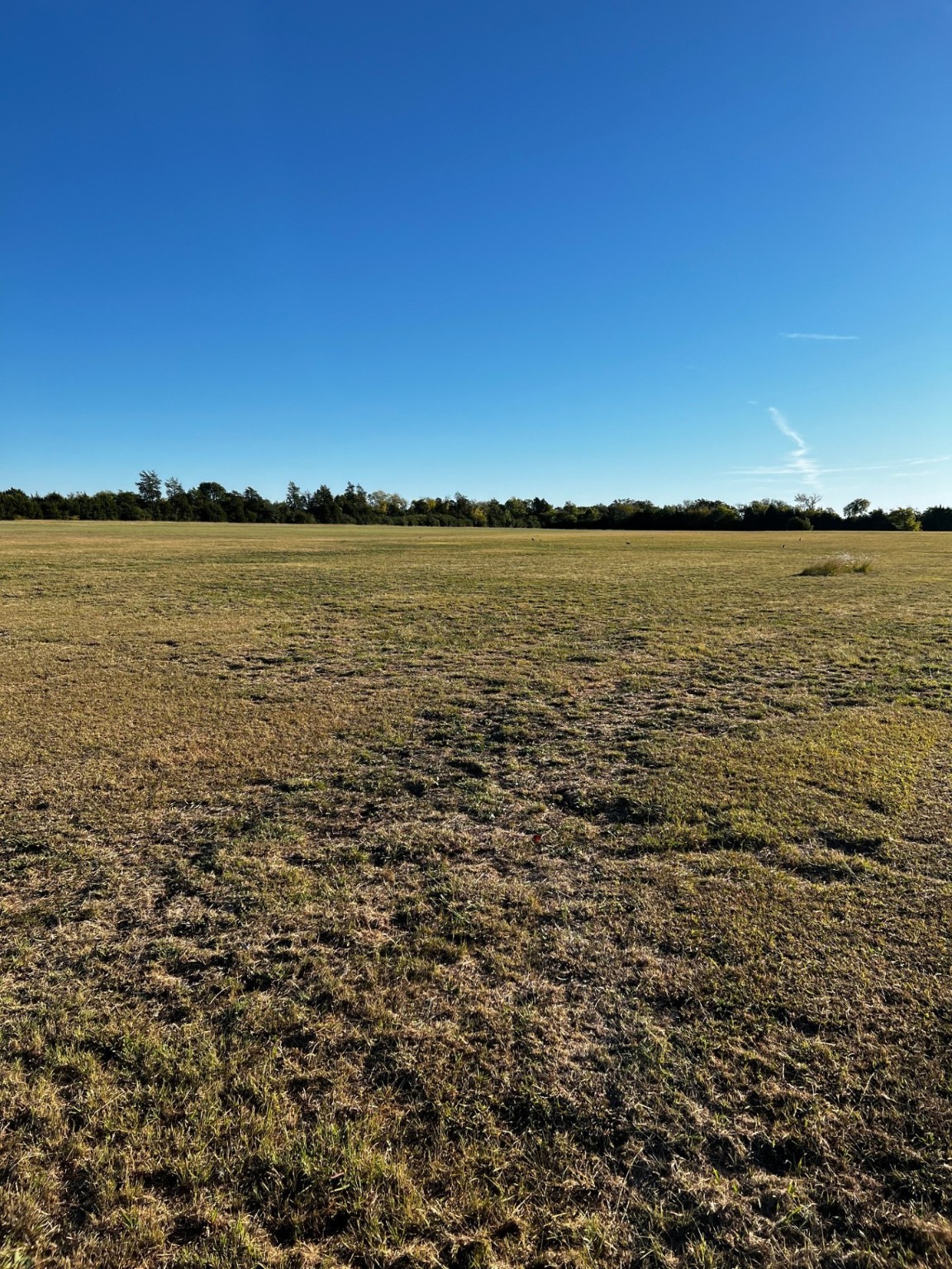 501 W Wintergreen Road W Desoto TX 75115