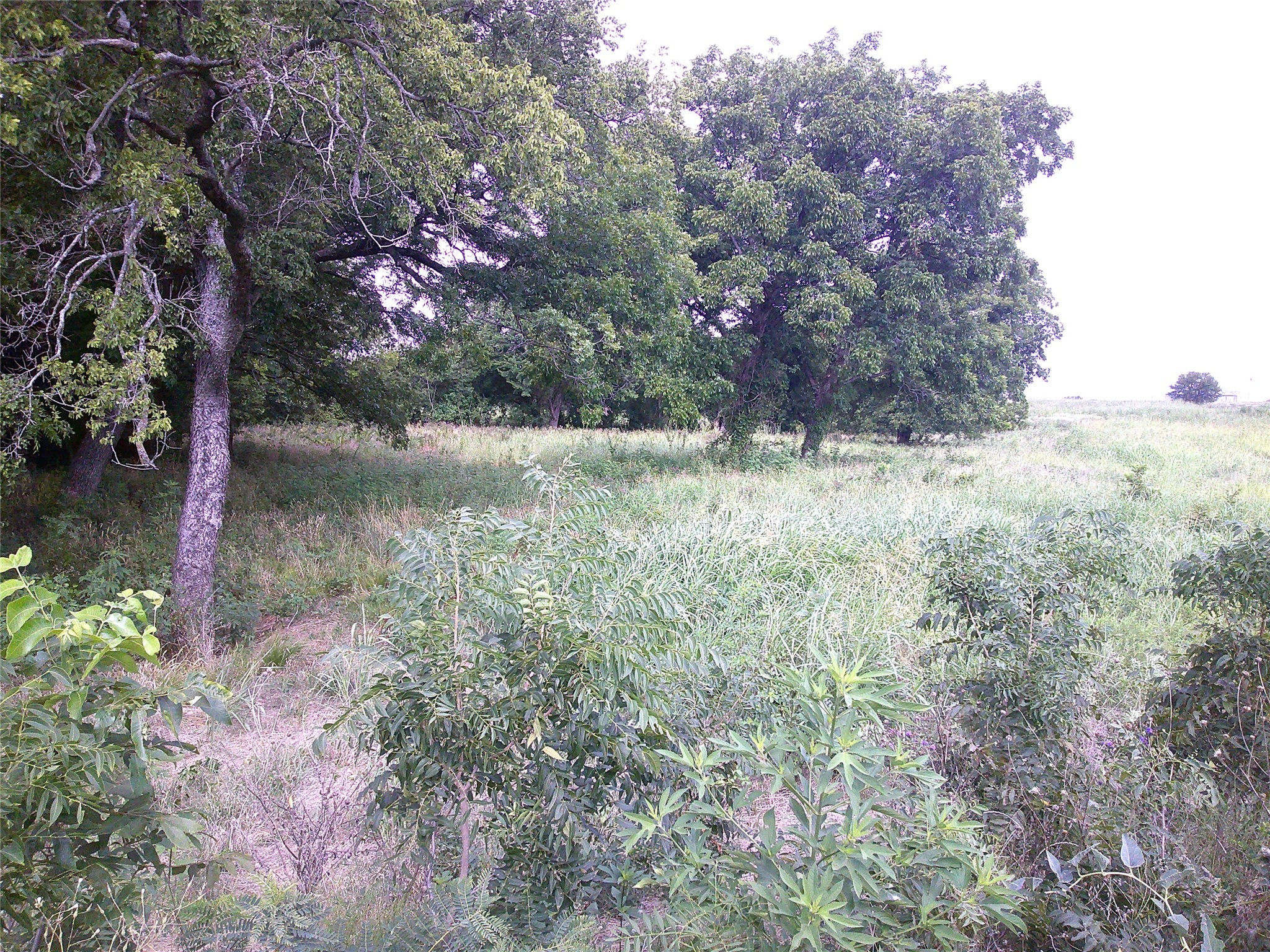 Trail 7 West Rc Bowie TX 76230