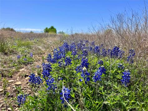 Tbd Ivy Road Moody TX 76557