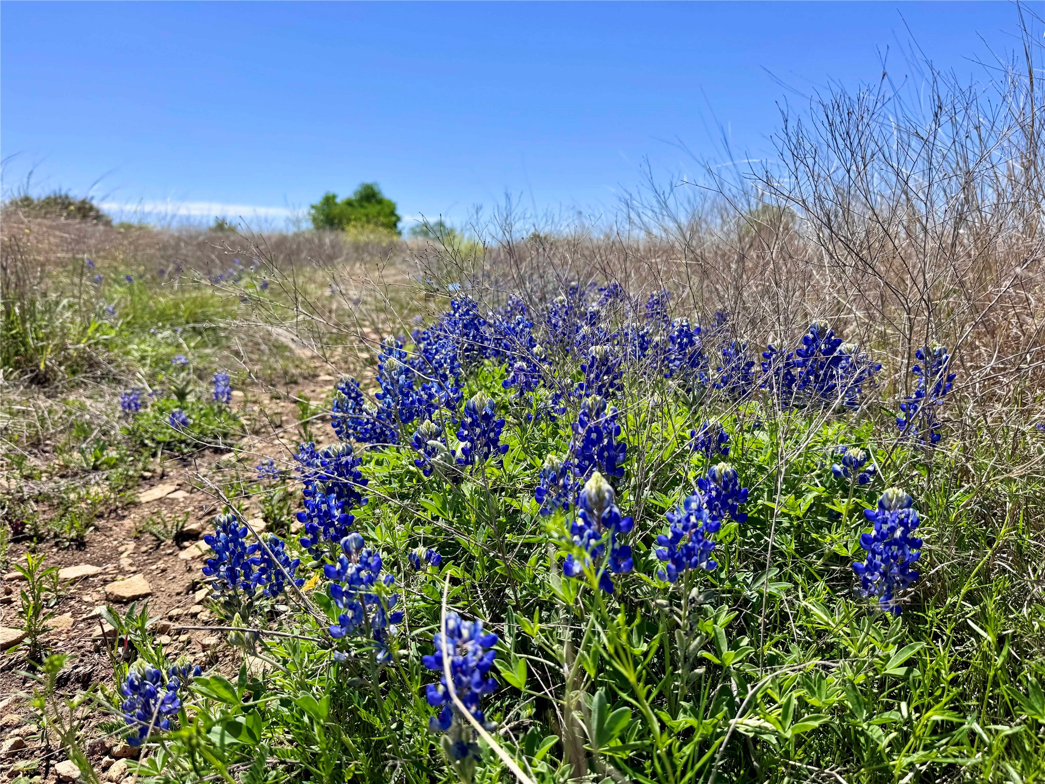 Tbd Ivy Road Moody TX 76557