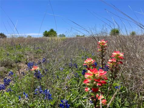 Tbd Ivy Road Moody TX 76557