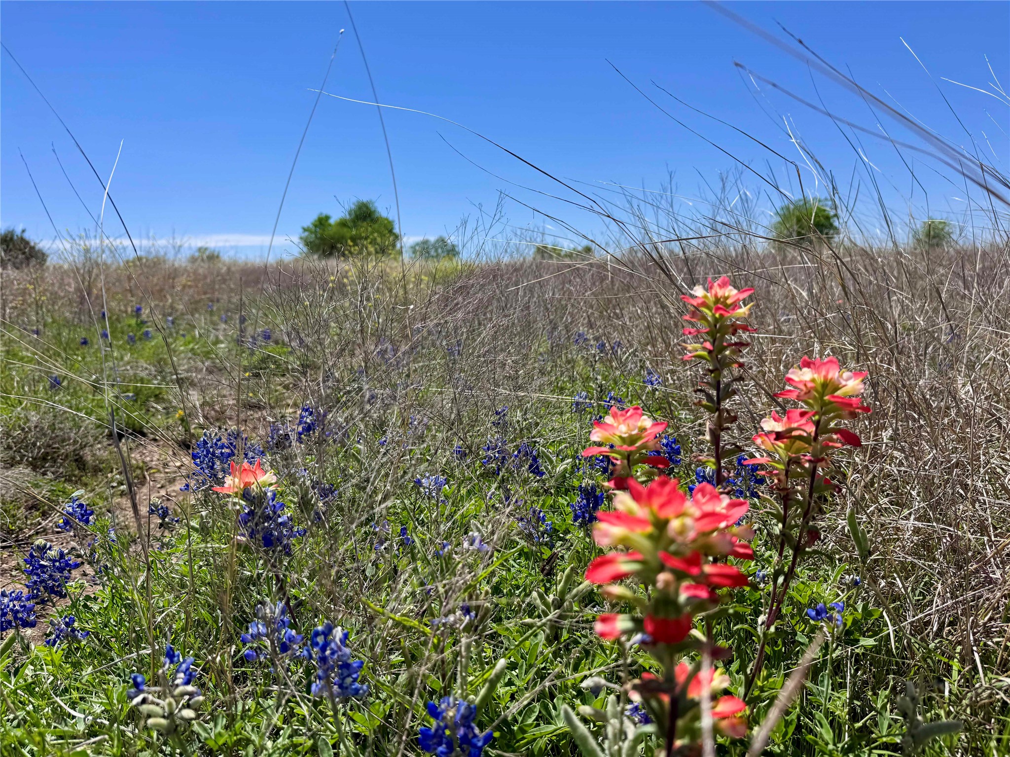 Tbd Ivy Road Moody TX 76557