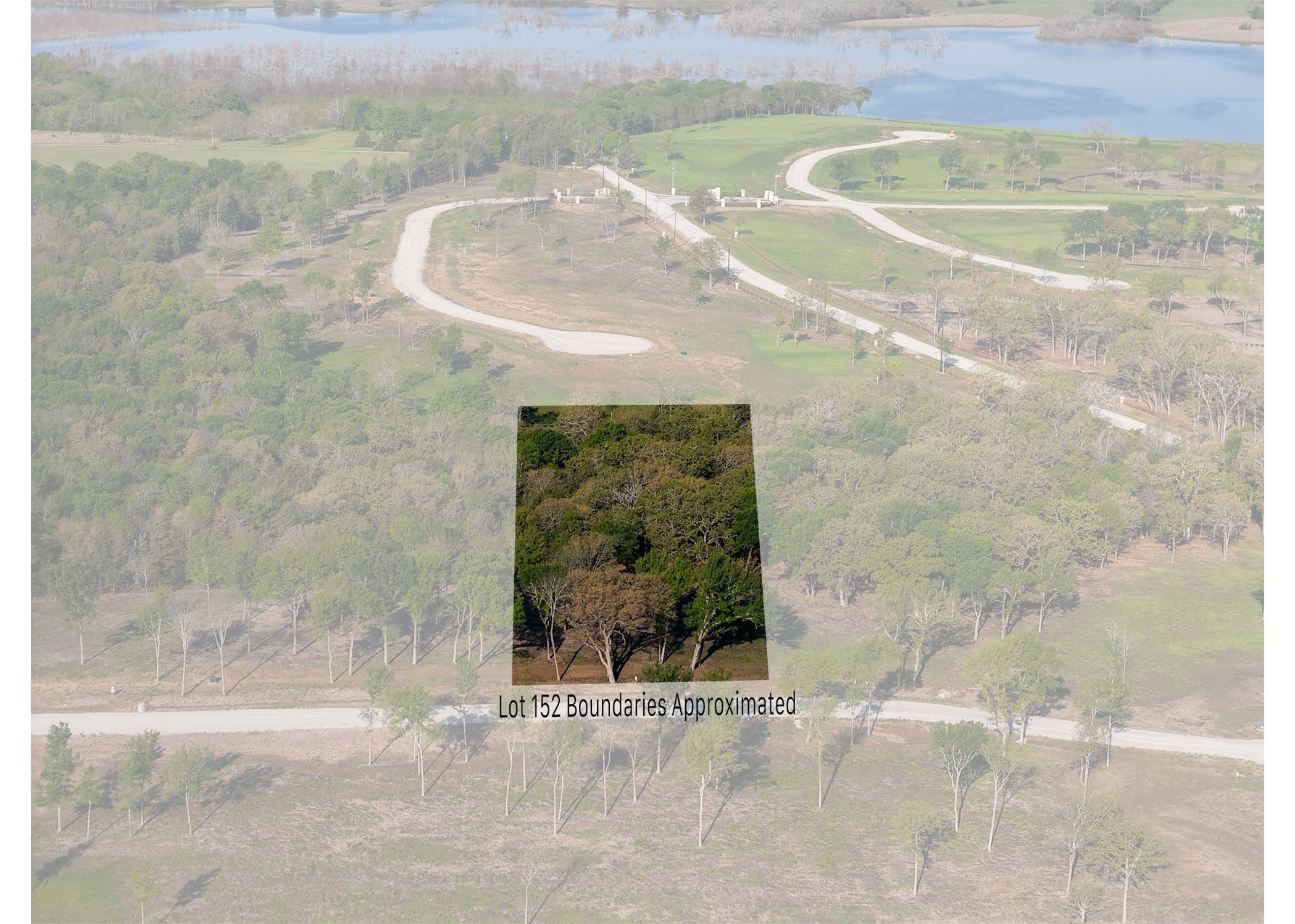 254 Timberland Heights Windom TX 75492